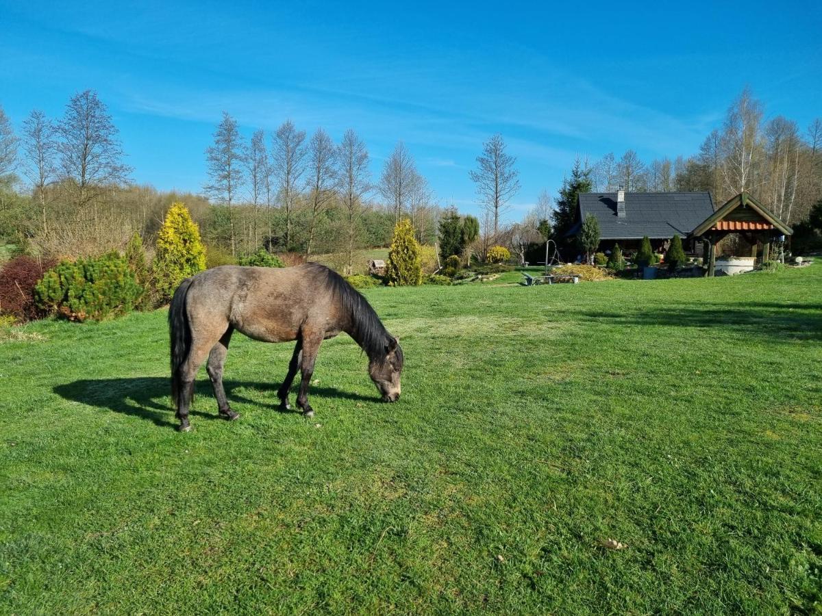 Wiejska Holiday home Barczewo